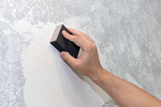 Mold Odor Removal Services in Chubbuck, ID