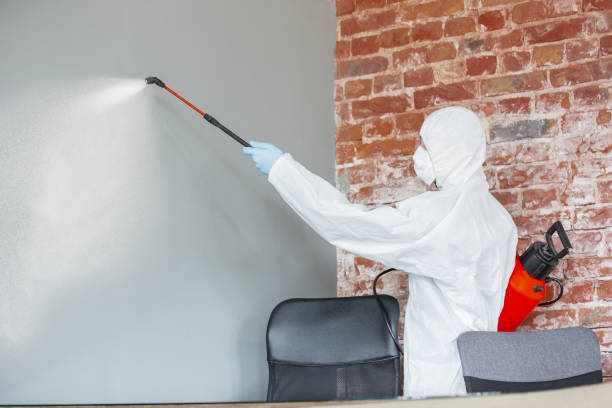 Best Mold Removal for HVAC Installations  in Chubbuck, ID