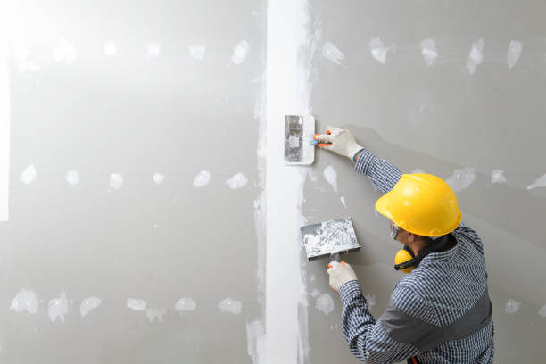 Best Water Damage & Mold Remediation  in Chubbuck, ID