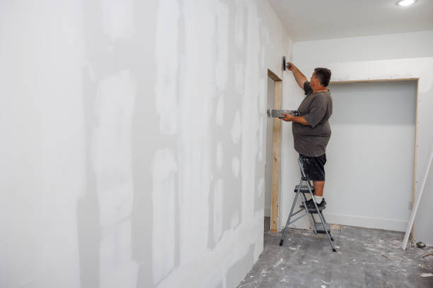 Forensic Mold Investigation in Chubbuck, ID