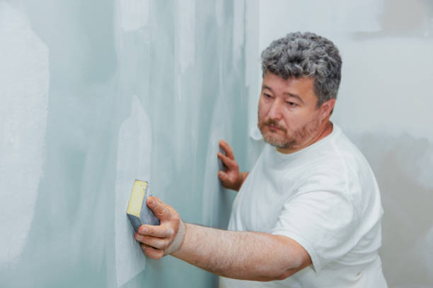 Best Black Mold Removal  in Chubbuck, ID